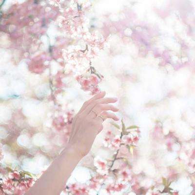 PG电子娱乐网址截图